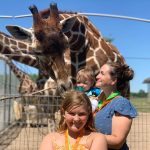 Lesley Carter Crosses