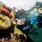 Discovering-the-Underwater-World-at-Monterey-Bay-Aquarium