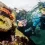 Discovering the Underwater World at Monterey Bay Aquarium
