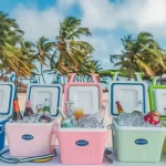 Beach Ice Small Coolers