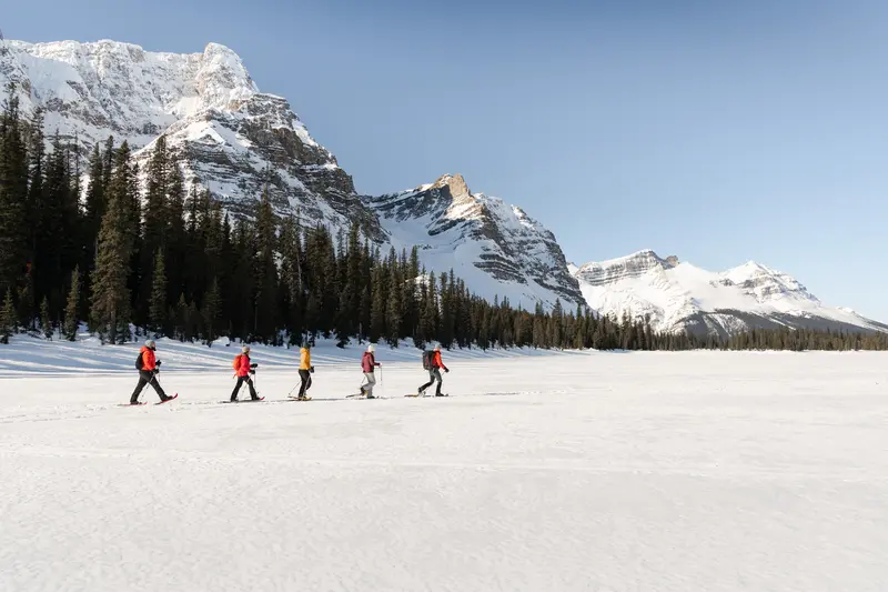 Best Tours in Banff