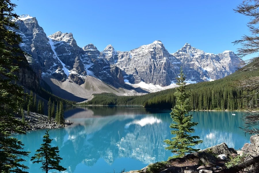 Moraine Lake Hikes