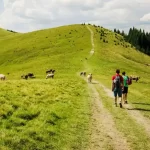 Camino Primitivo