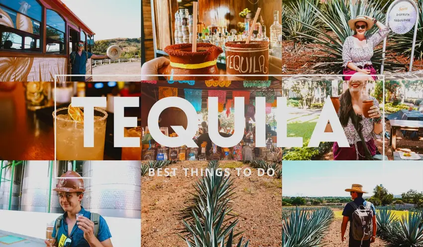 Top Things to Do in Tequila Jalisco