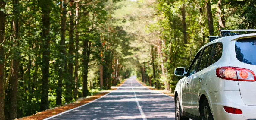 Best Michigan Road Trip Ideas Best Michigan Road Trip Ideas