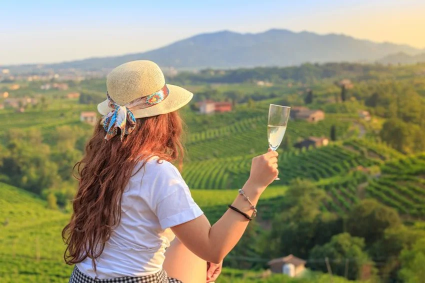 Food Tours Wine Tours Food Tours & Wine Tours