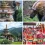 Top 12 Bhutan Tourism Places to Visit in 2025