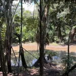 Ayahuasca Retreats in Iquitos Peru