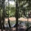 Discovering Ayahuasca Retreats in Iquitos Peru