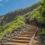 Conquer the Koko Head Hike: Tips, Trail Info, and What to Expect