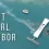 Pearl Harbor Island: History and Visitor’s Guide