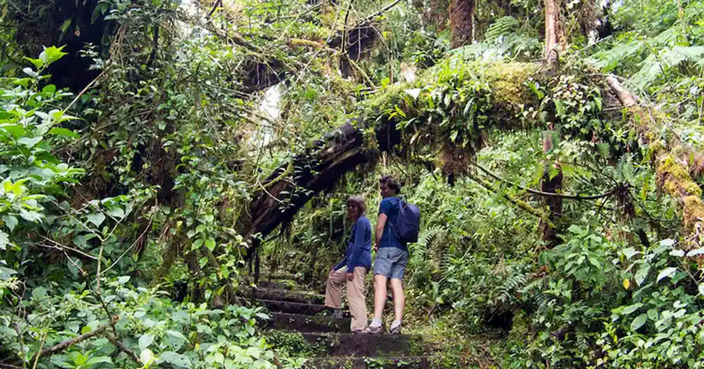 Understanding Costa Ricas Climate and Seasons Understanding Costa Rica’s Climate and Seasons