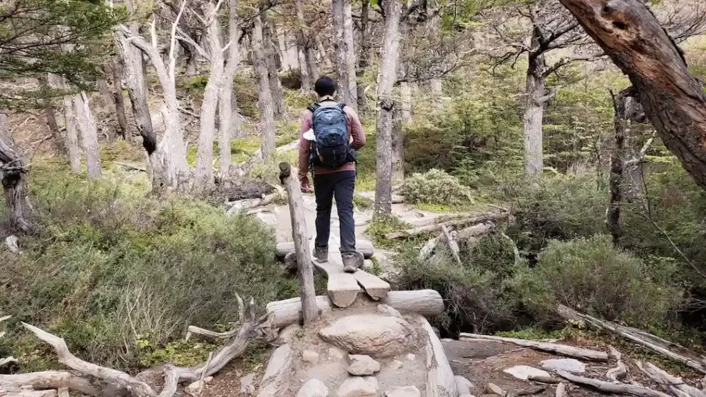 What to Pack for Hiking Laguna